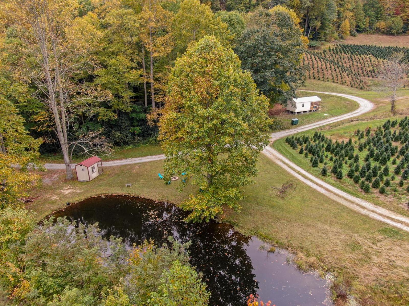 Willa Songbird Cabin Vilas Zewnętrze zdjęcie